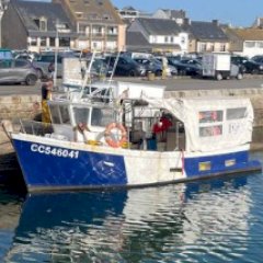 Alban29