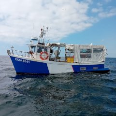 Alban29